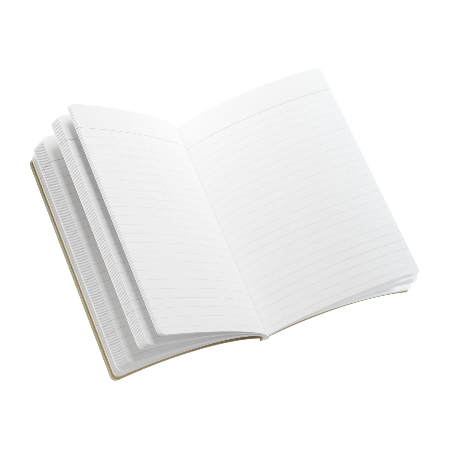 Beachcomber Vintage Field Notes | Softcover Journal with Inside Illustrations
