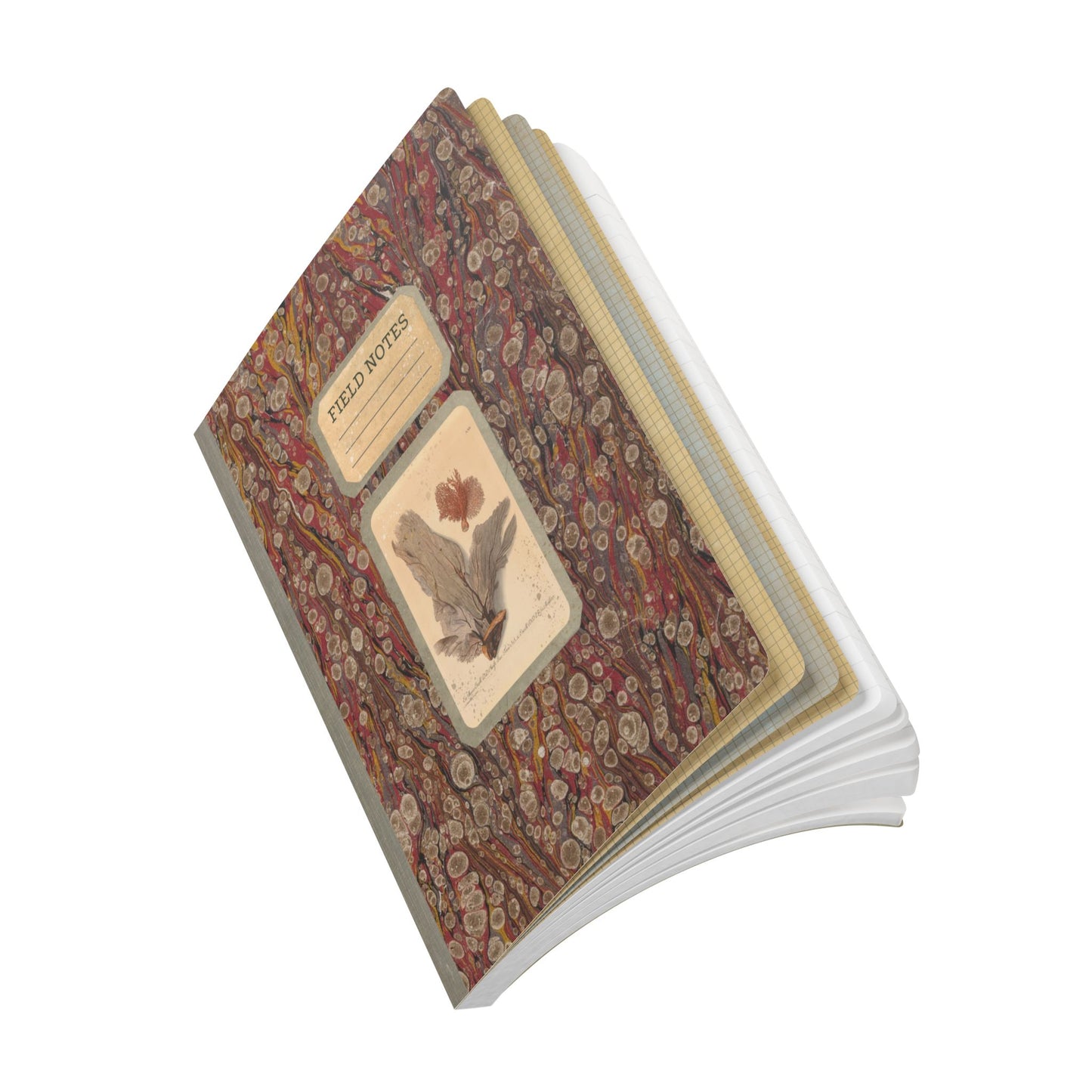 Beachcomber Vintage Field Notes | Softcover Journal with Inside Illustrations
