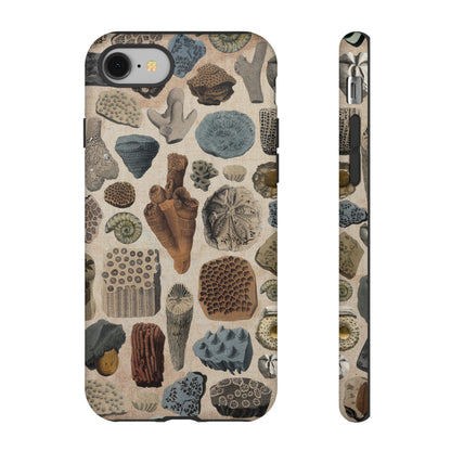 Fossils Antique Illustrations iPhone Case