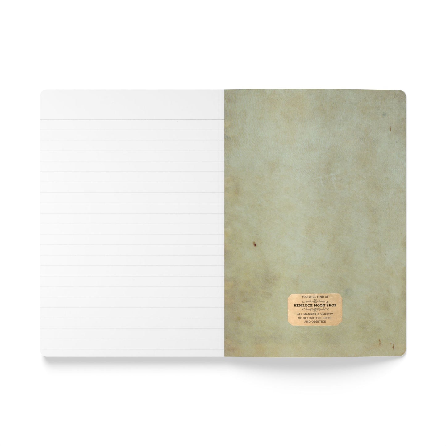 Beachcomber Vintage Field Notes | Softcover Journal with Inside Illustrations