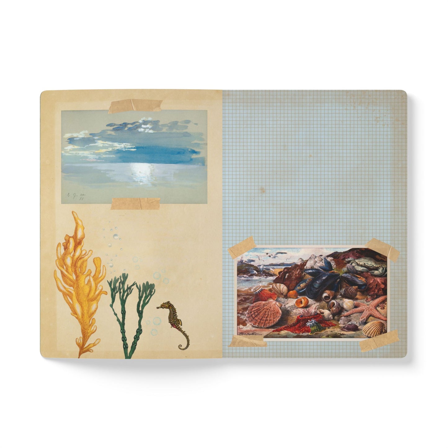 Beachcomber Vintage Field Notes | Softcover Journal with Inside Illustrations
