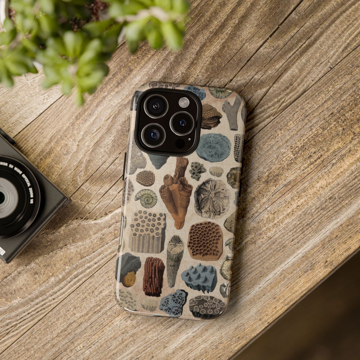 Fossils Antique Illustrations iPhone Case