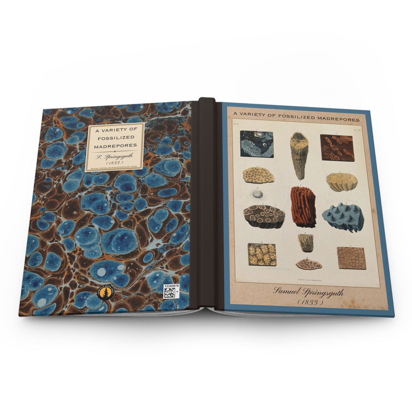 Vintage Fossil Collection Hardcover Notebook No. 005