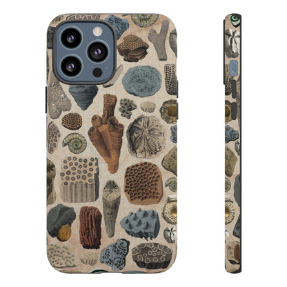 Fossils Antique Illustrations iPhone Case