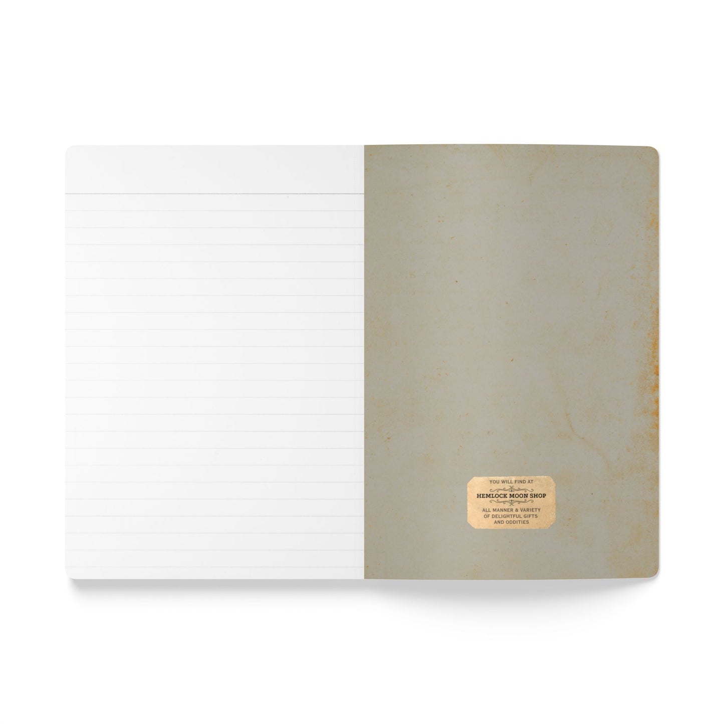 Fossils Vintage Blue Softcover Notebook