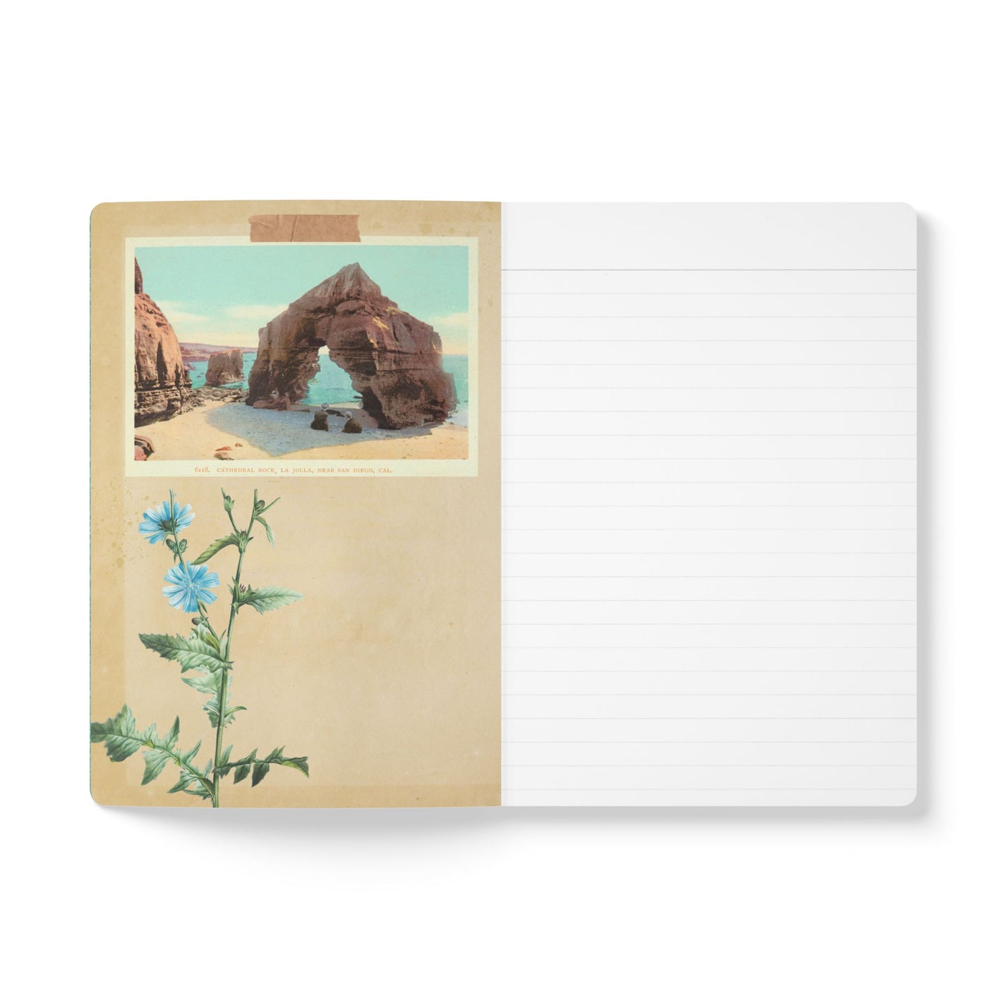 California Vintage Tourist Guide | Softcover Journal with Inside Illustrations