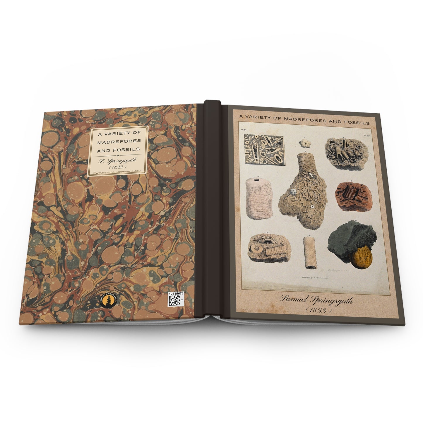 Vintage Fossil Collection Hardcover Notebook No. 007