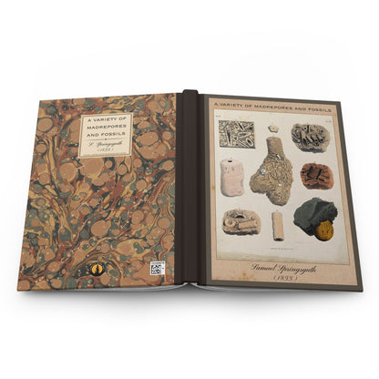 Vintage Fossil Collection Hardcover Notebook No. 007