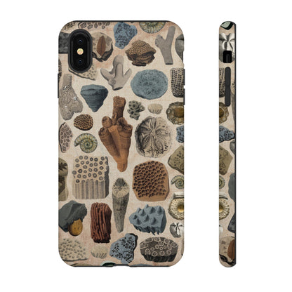 Fossils Antique Illustrations iPhone Case