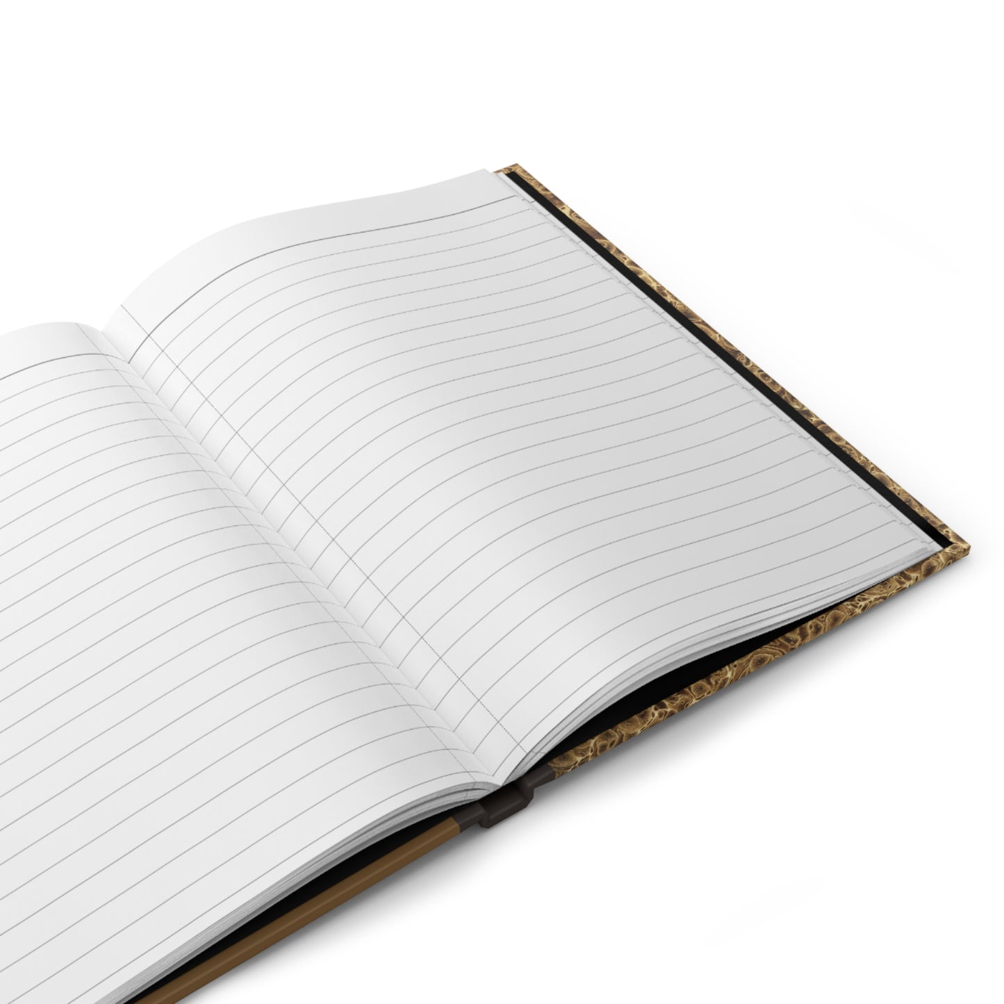 Vintage Fossil Collection Hardcover Notebook No. 004