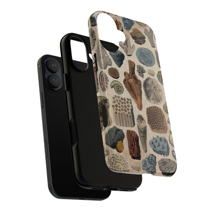 Fossils Antique Illustrations iPhone Case