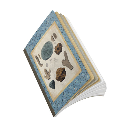 Fossils Vintage Blue Softcover Notebook