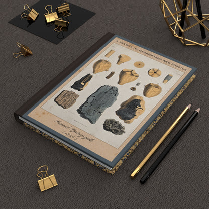 Vintage Fossil Collection Hardcover Notebook No. 006