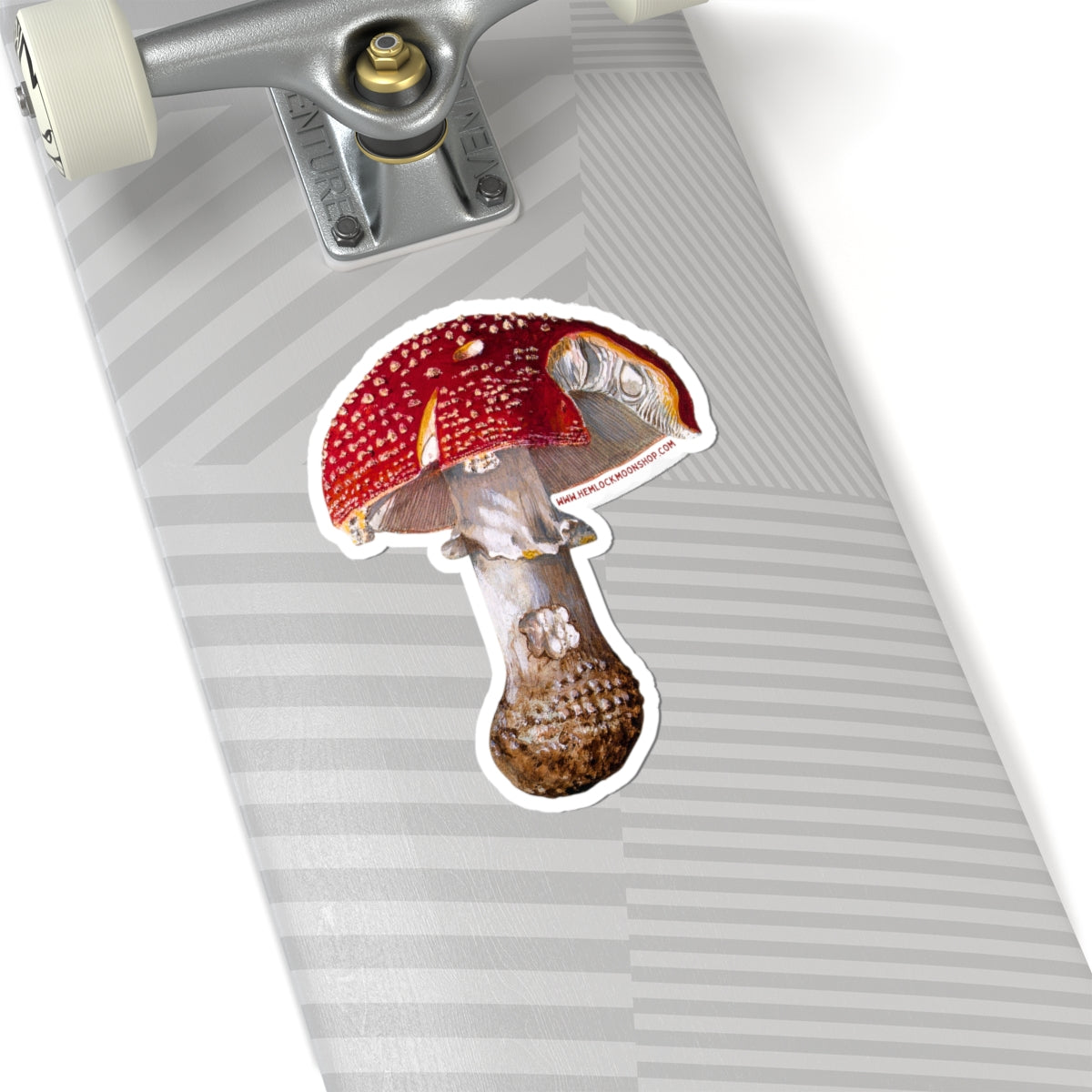Amanita Muscaria (Fly Agaric Fungus) sticker (4 sizes)