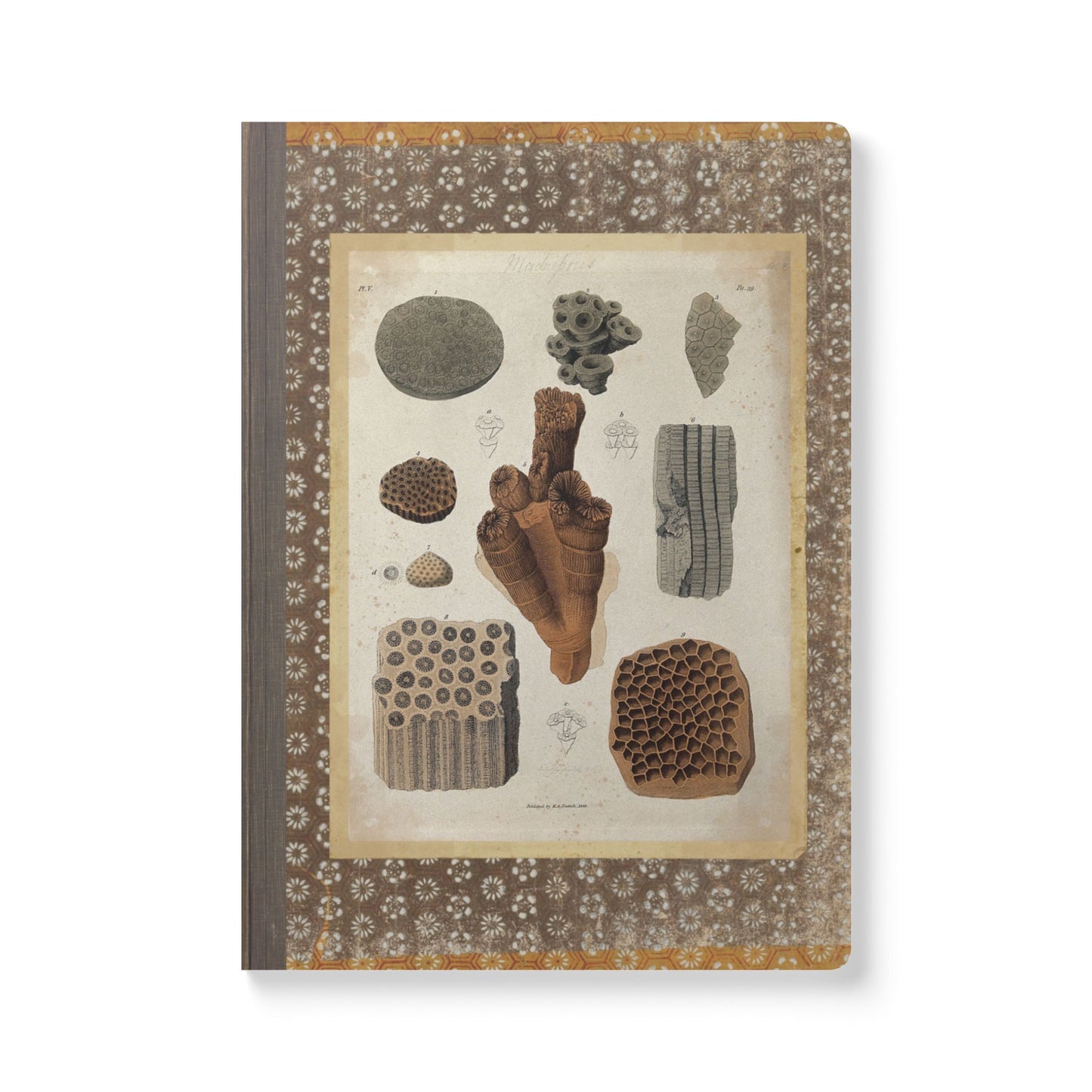 Fossils Vintage Brown Softcover Pocket Notebook