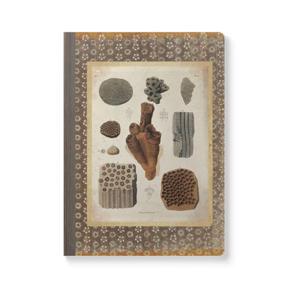 Fossils Vintage Brown Softcover Pocket Notebook