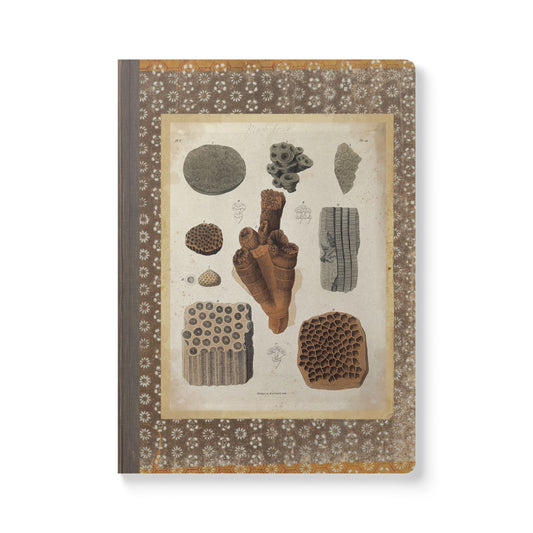 Fossils Vintage Brown Softcover Pocket Notebook