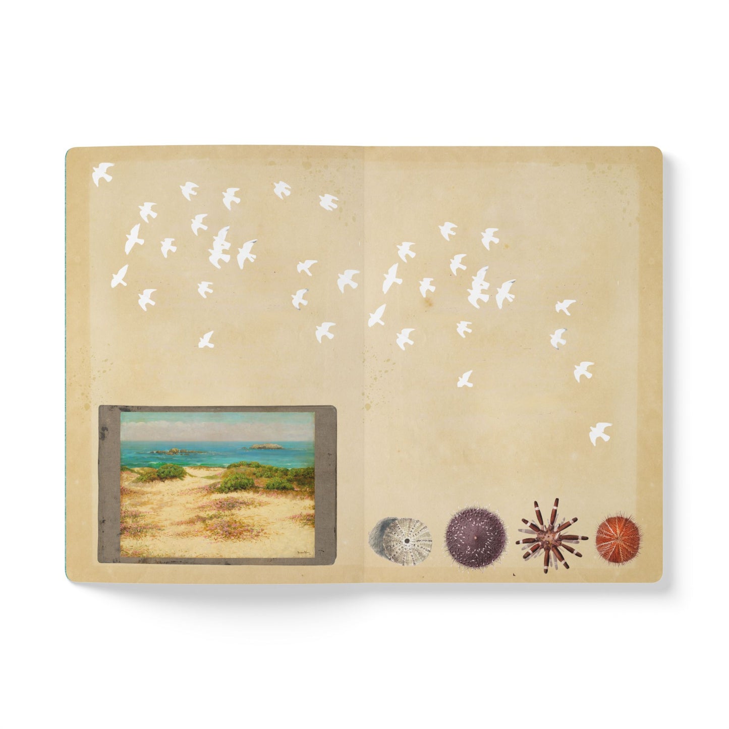 California Vintage Tourist Guide | Softcover Journal with Inside Illustrations