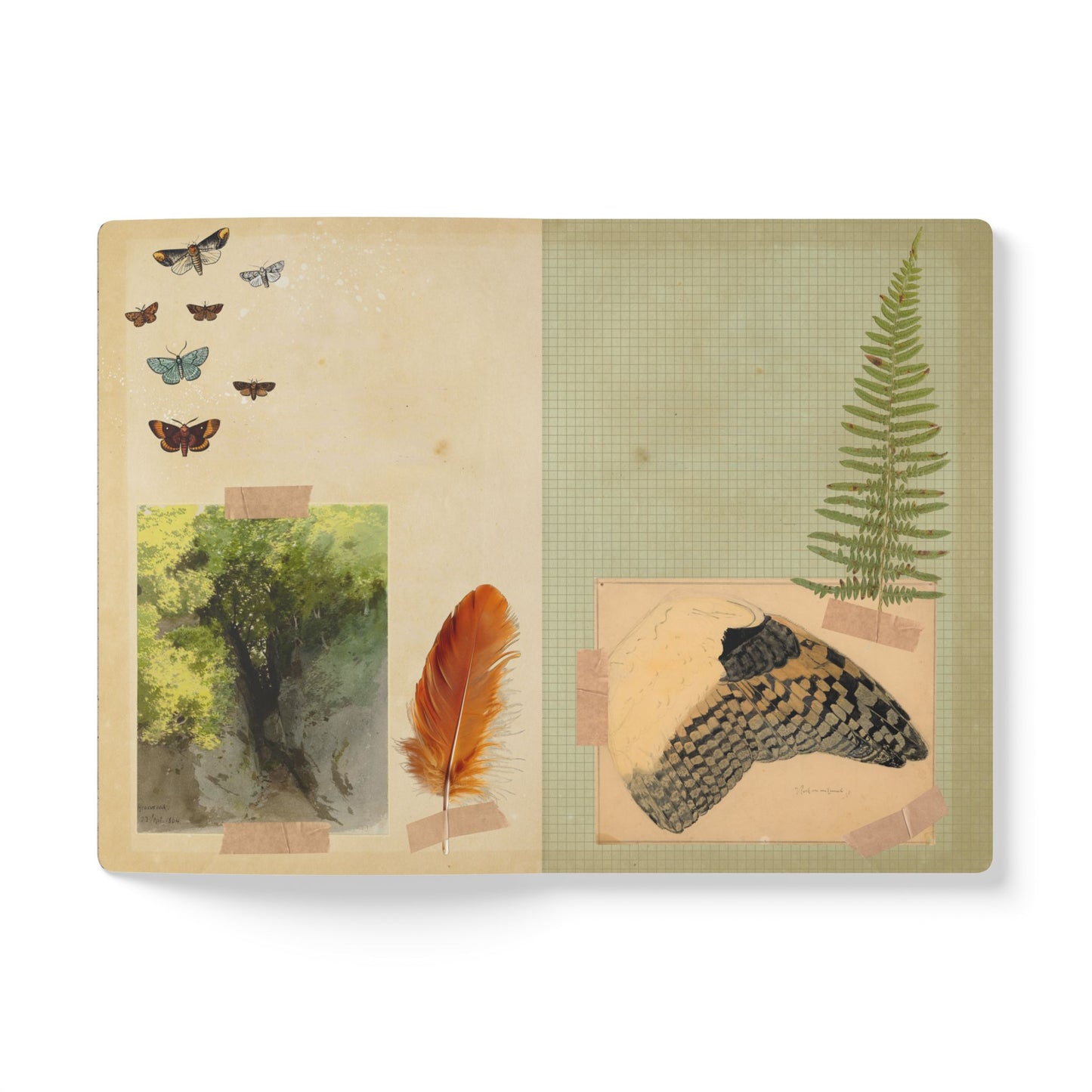 Owl & Moon Vintage Field Notes | Softcover Journal with Inside Illustrations