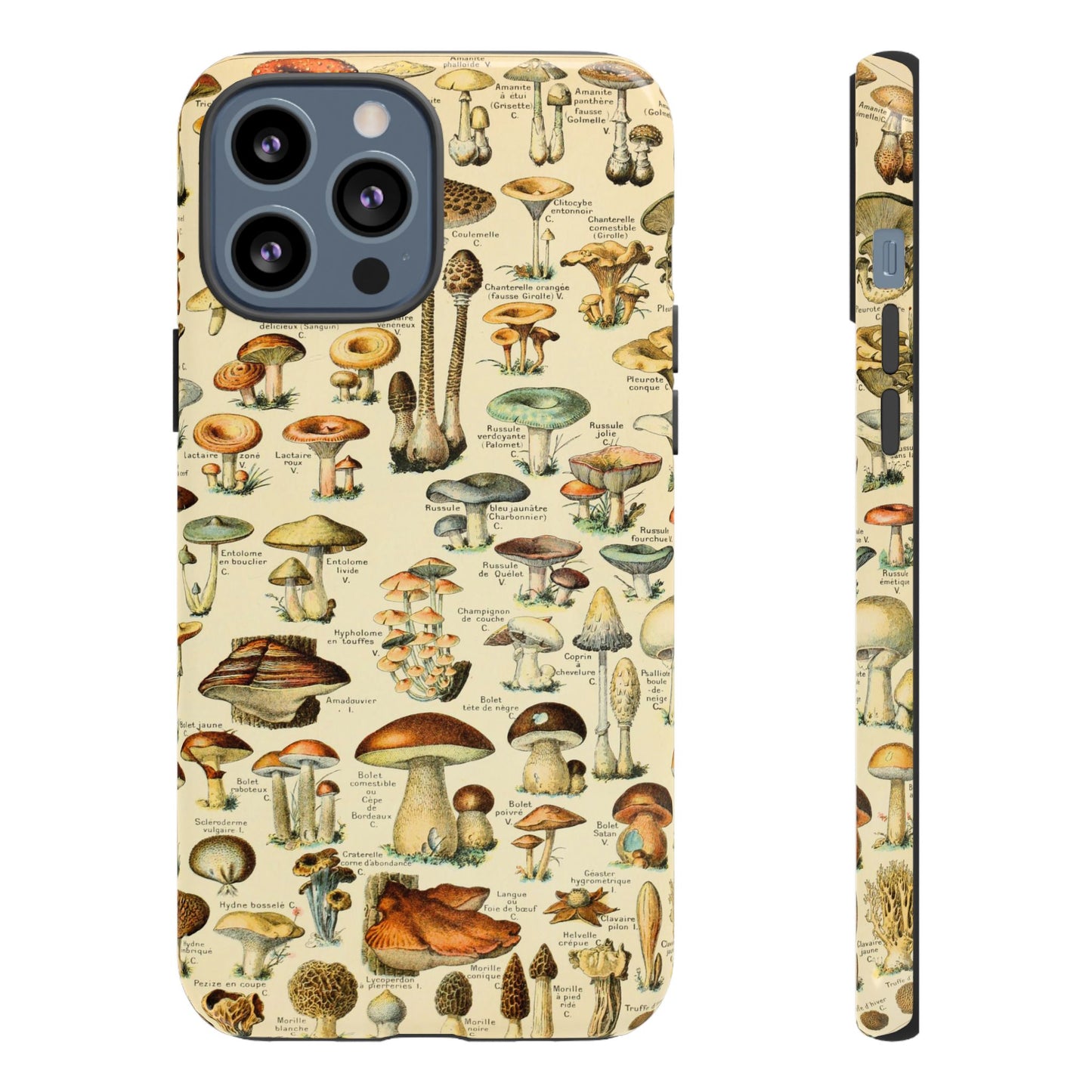 Mushrooms Vintage Field Guide iPhone Case