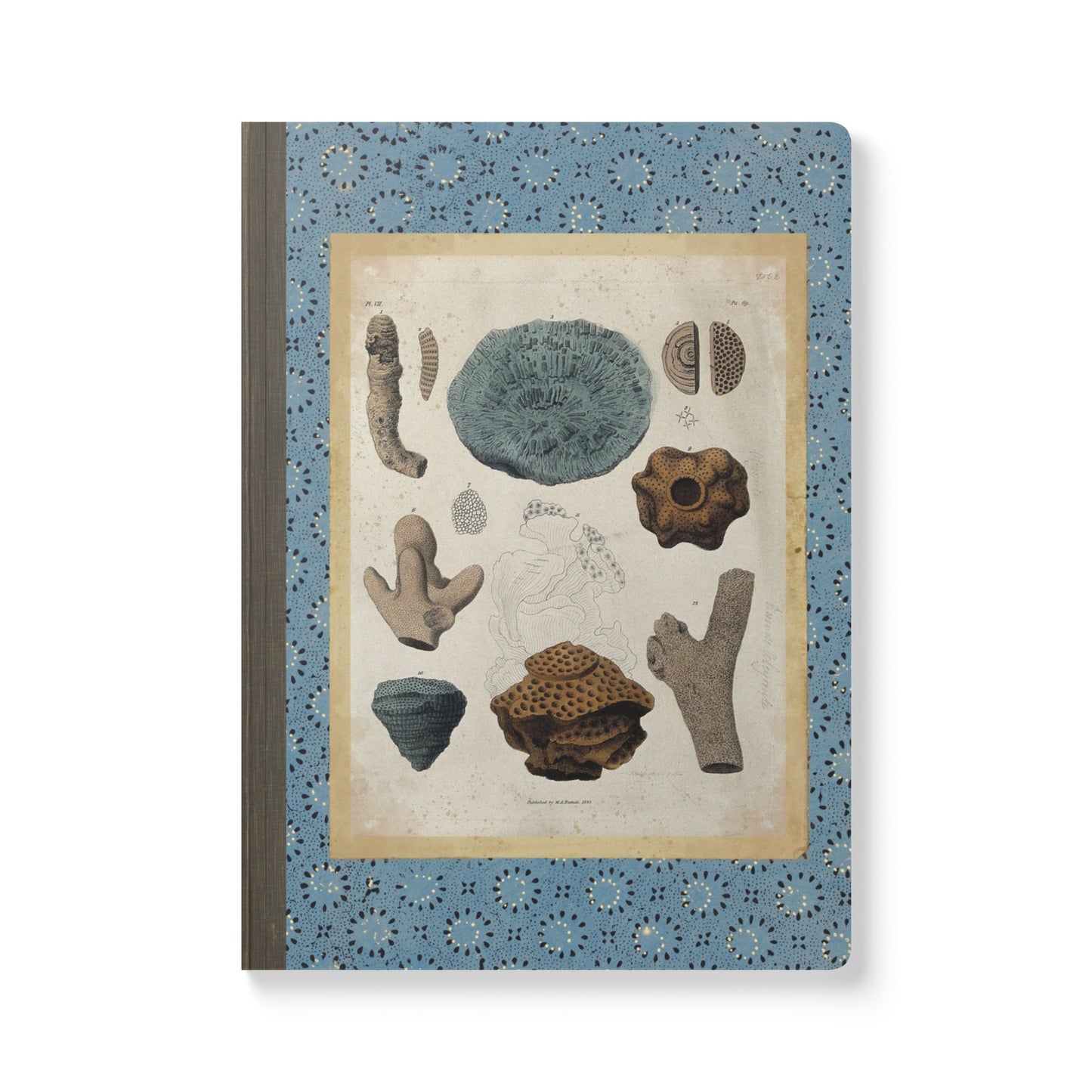 Fossils Vintage Blue Softcover Notebook