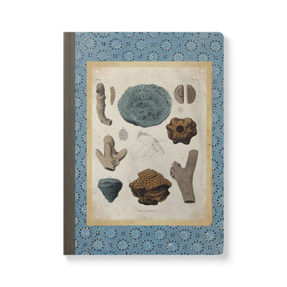 Fossils Vintage Blue Softcover Notebook