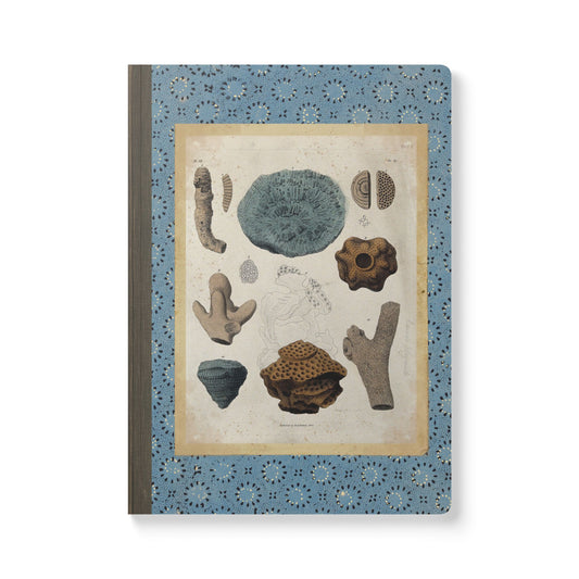 Fossils Vintage Blue Softcover Notebook