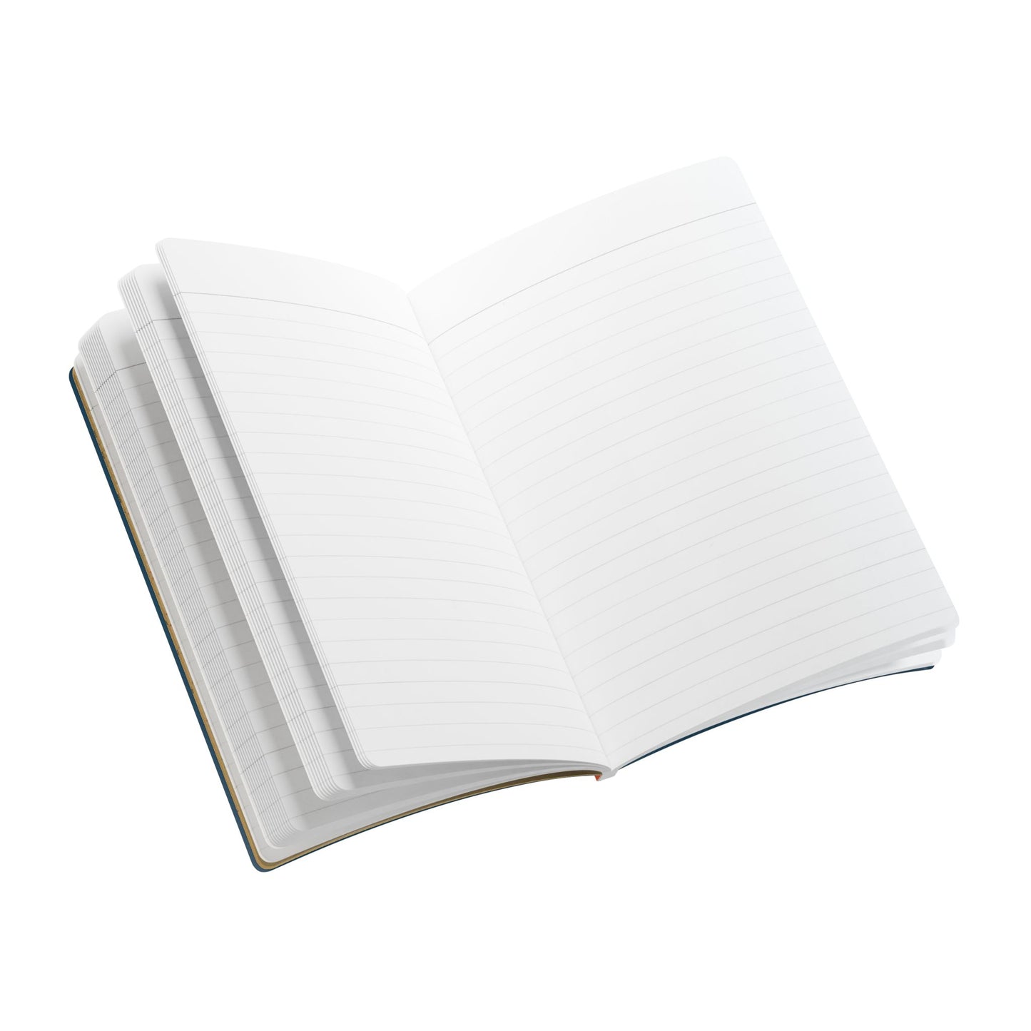 Chicago Vintage Wage Map | Softcover Notebook with Inside Maps