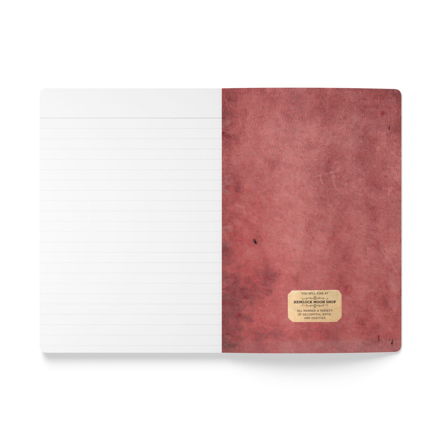 Bee & Thistle Vintage Field Notes | Softcover Journal with Inside Illustrations
