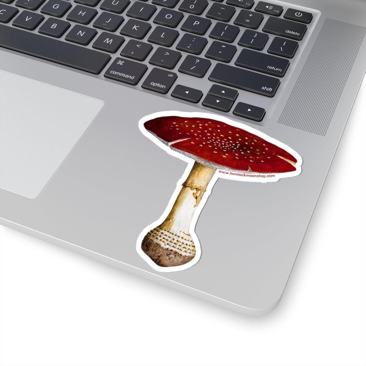 Fly Agaric (Amanita Mascara) Mushroom Sticker (4 sizes)