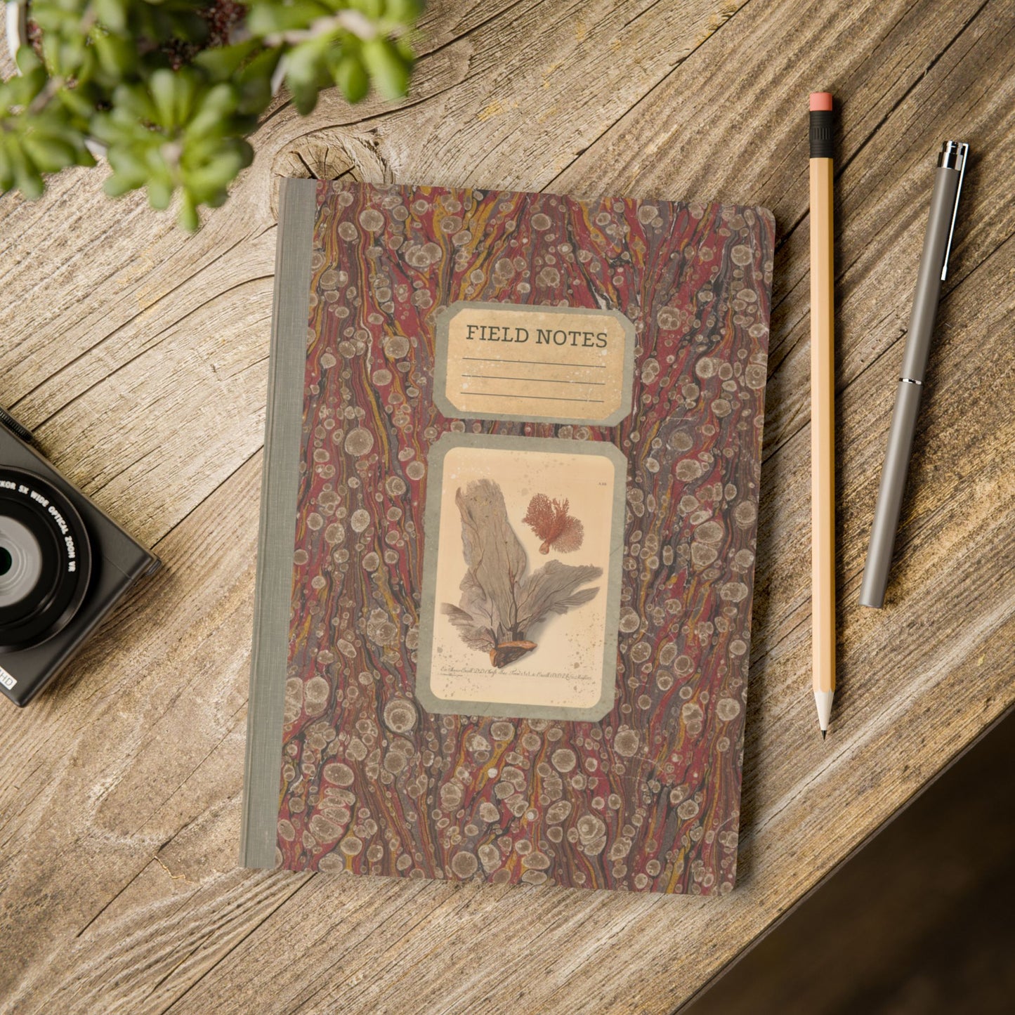 Beachcomber Vintage Field Notes | Softcover Journal with Inside Illustrations