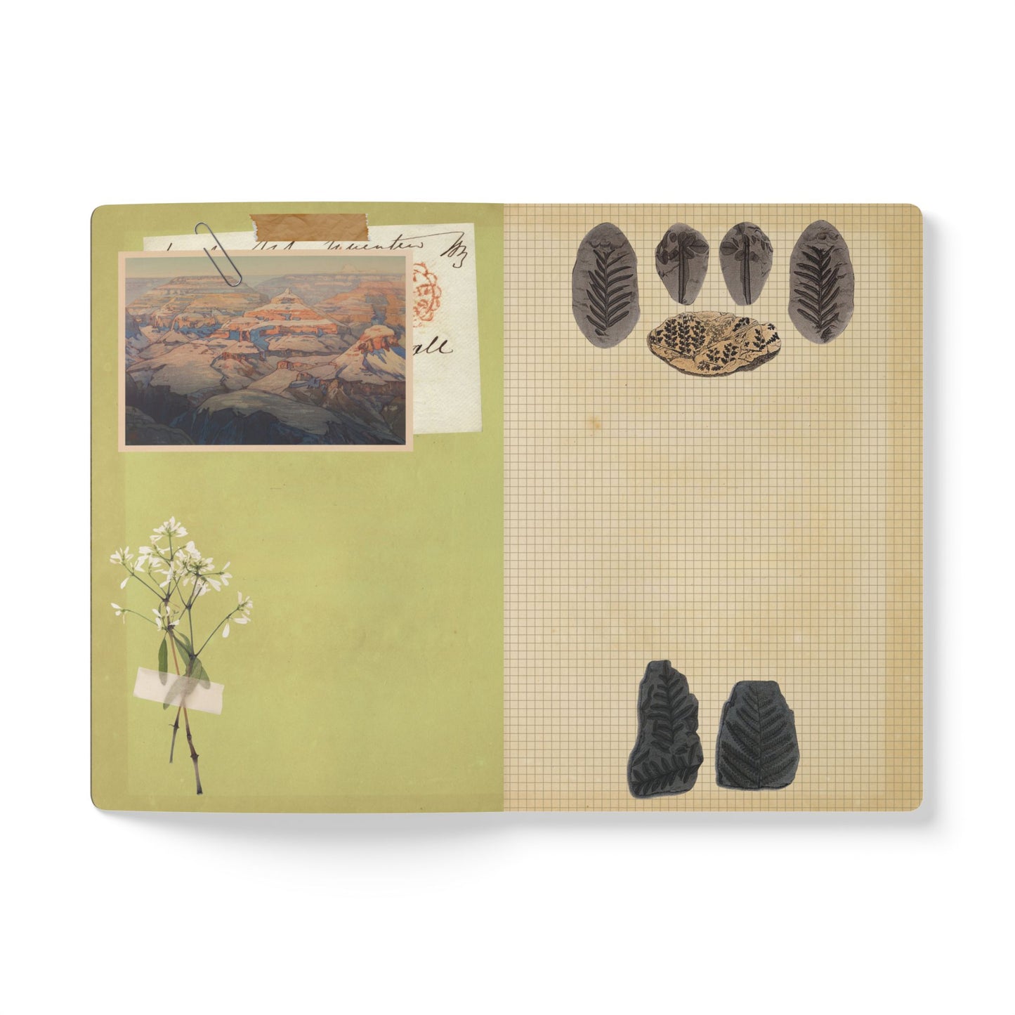 Fossils Vintage Brown Softcover Pocket Notebook