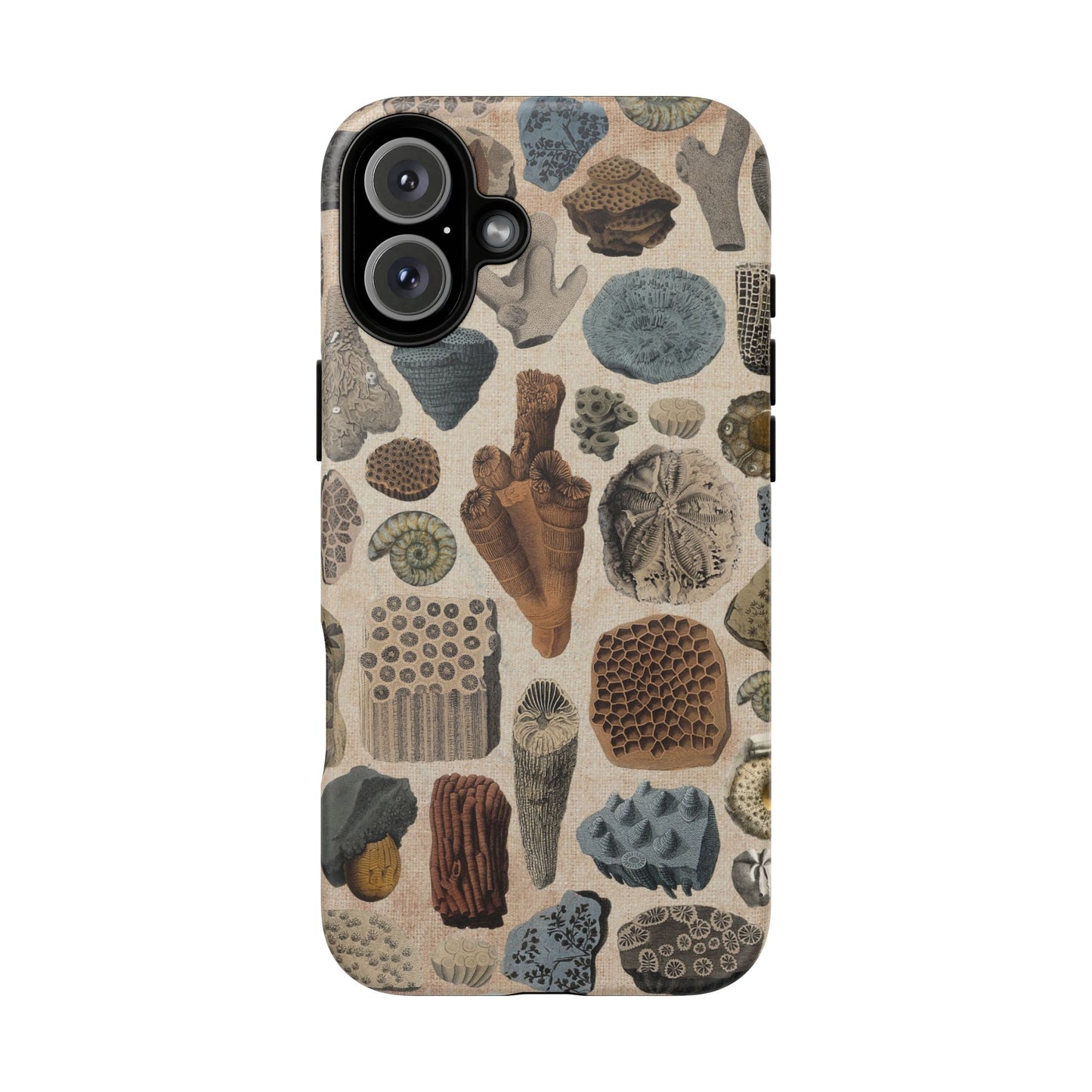 Fossils Antique Illustrations iPhone Case