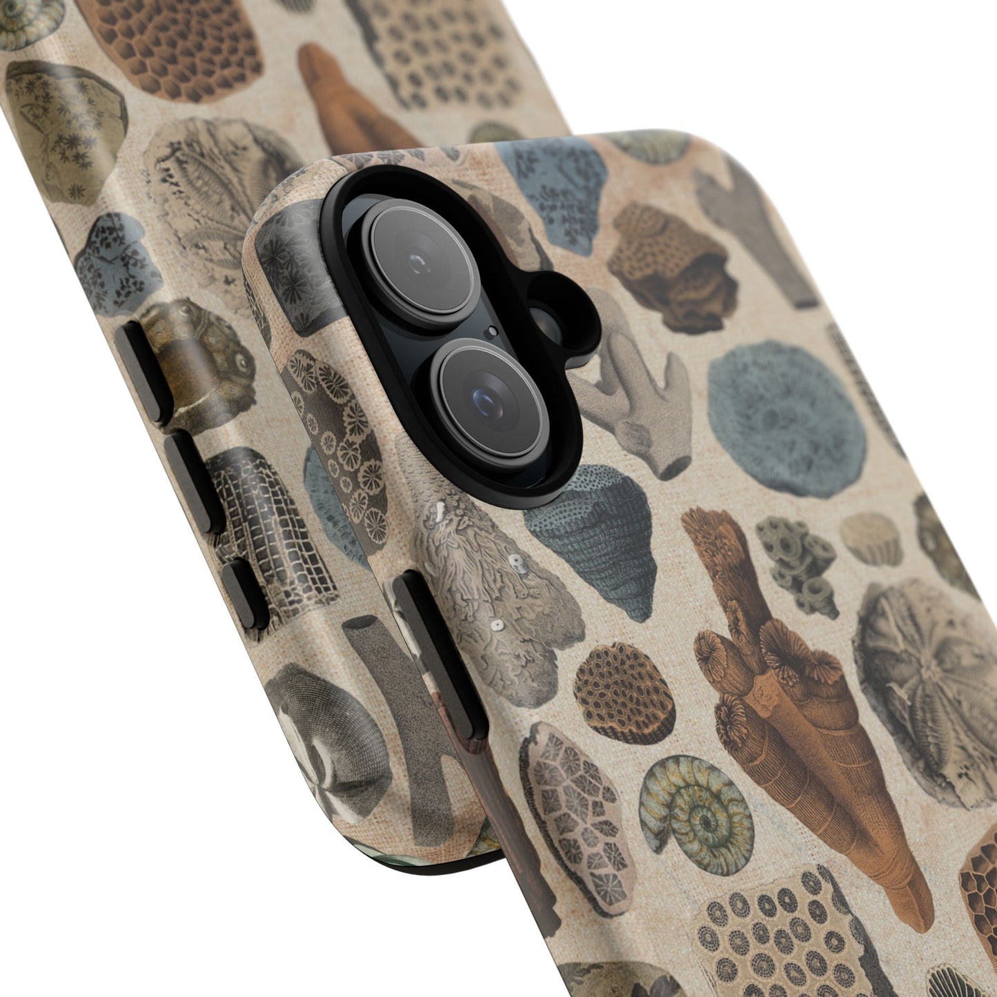 Fossils Antique Illustrations iPhone Case
