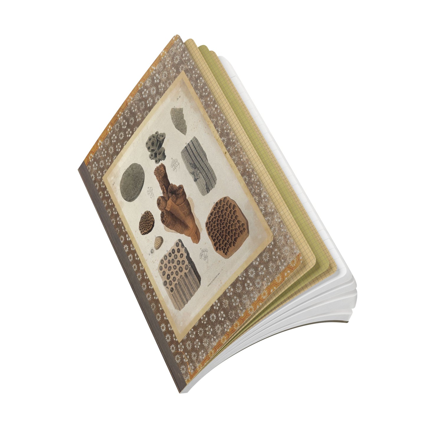 Fossils Vintage Brown Softcover Pocket Notebook