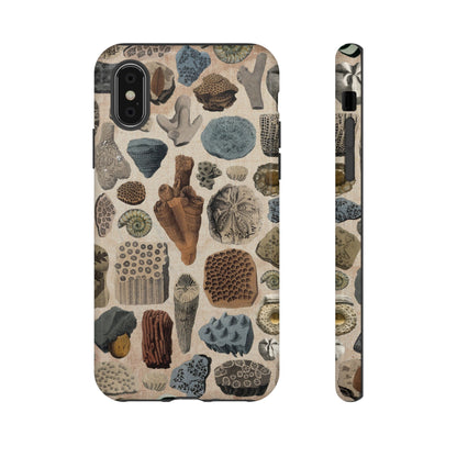 Fossils Antique Illustrations iPhone Case