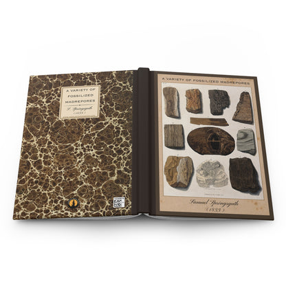 Vintage Fossil Collection Hardcover Notebook No. 003