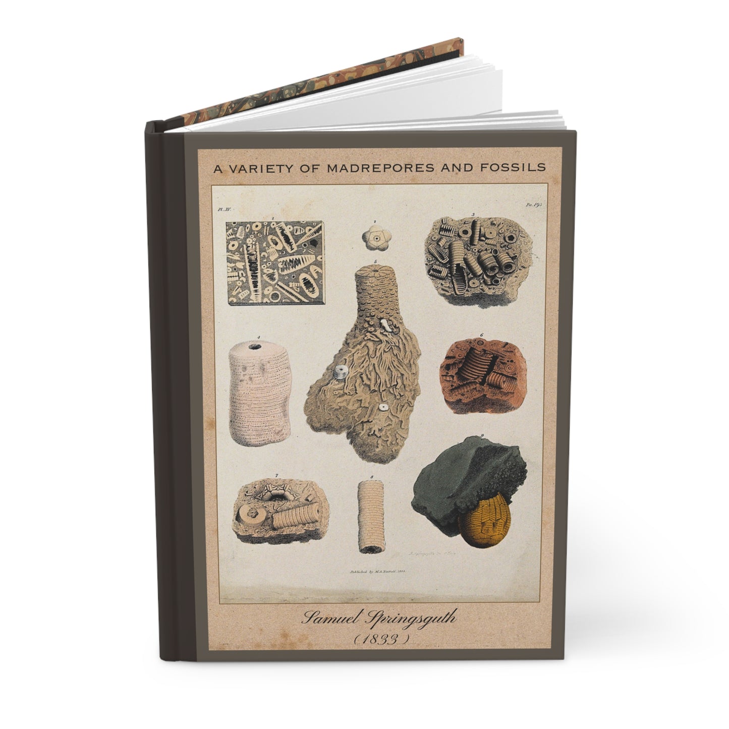 Vintage Fossil Collection Hardcover Notebook No. 007