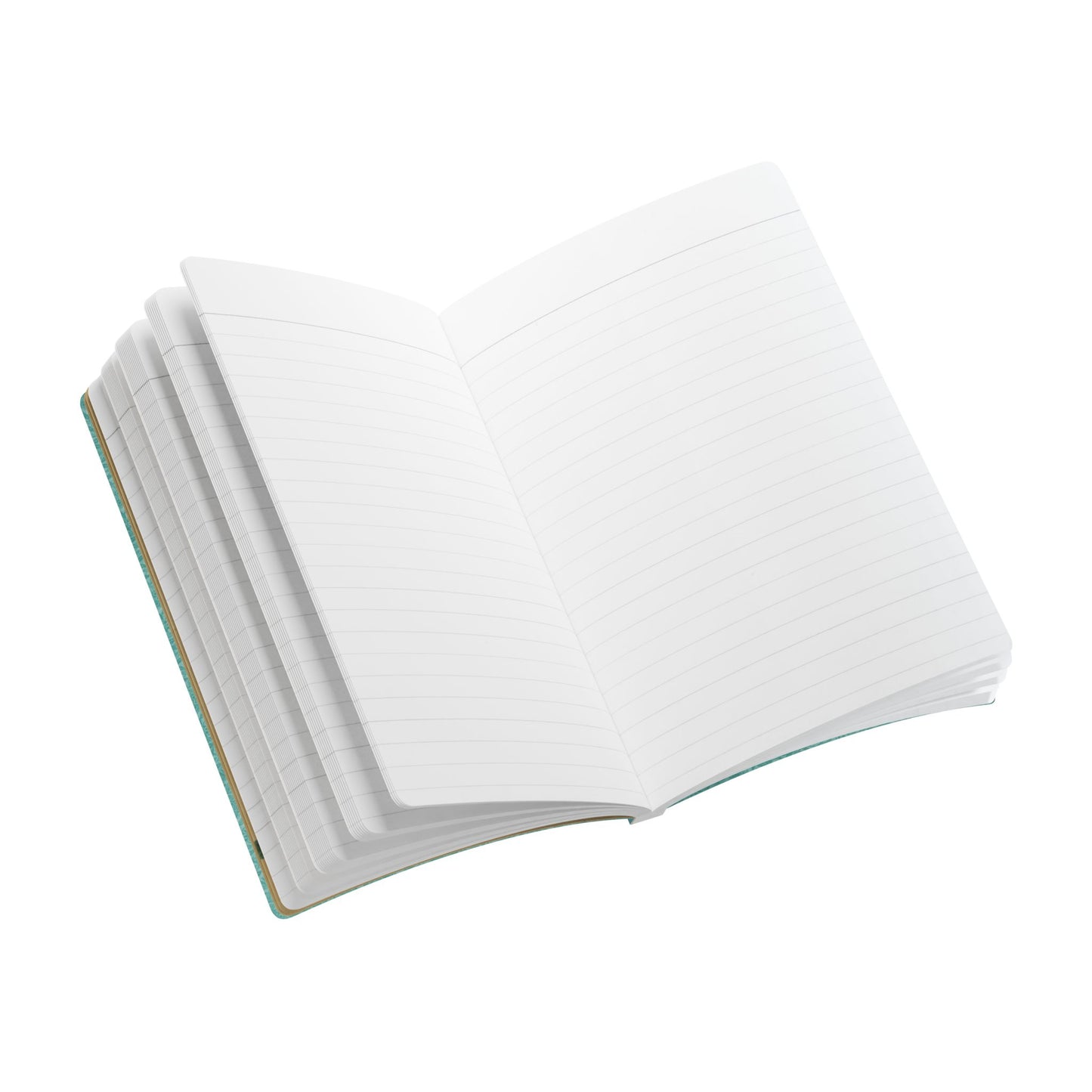 California Vintage Tourist Guide | Softcover Journal with Inside Illustrations