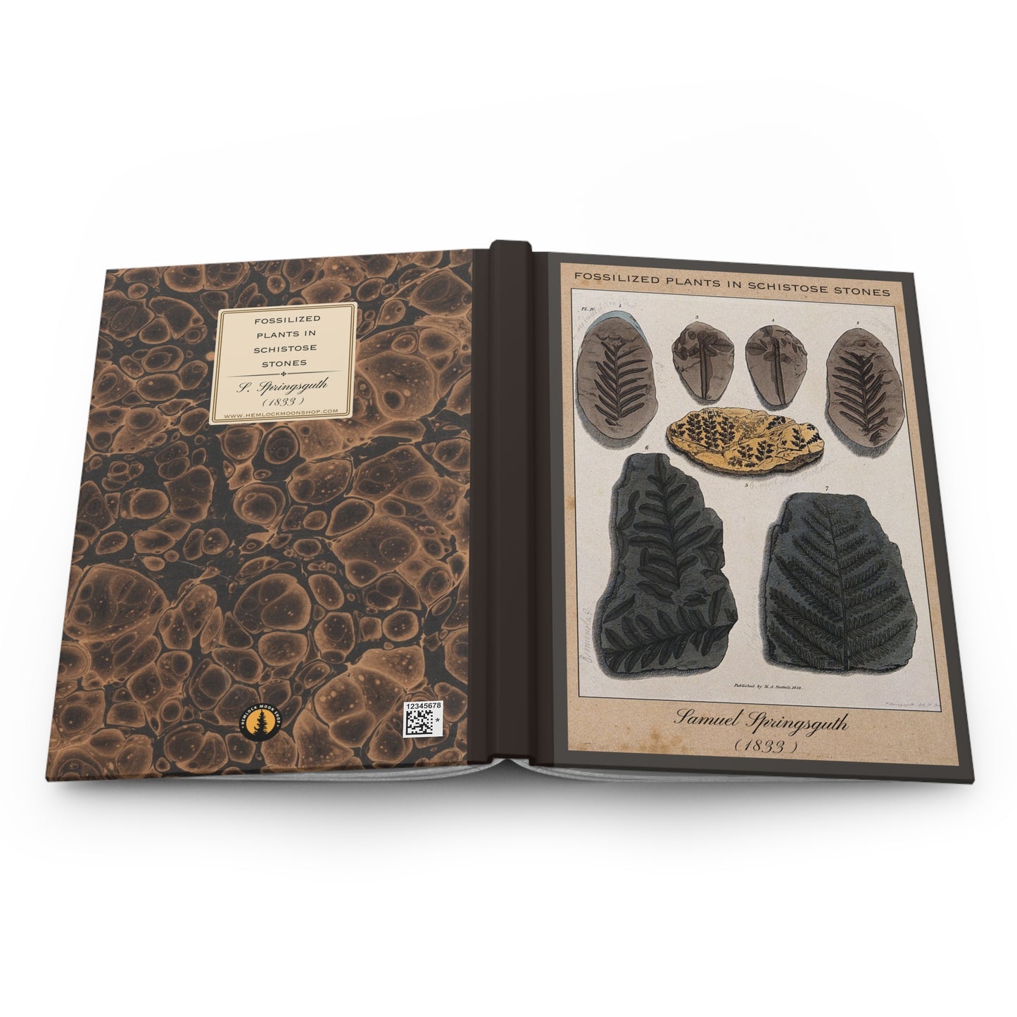 Vintage Fossil Collection Hardcover Notebook No. 012