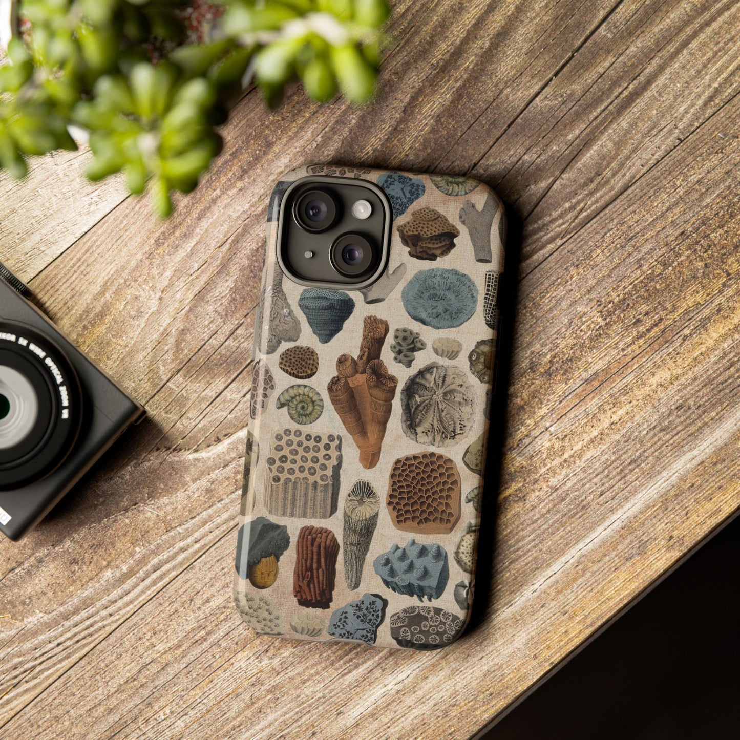 Fossils Antique Illustrations iPhone Case