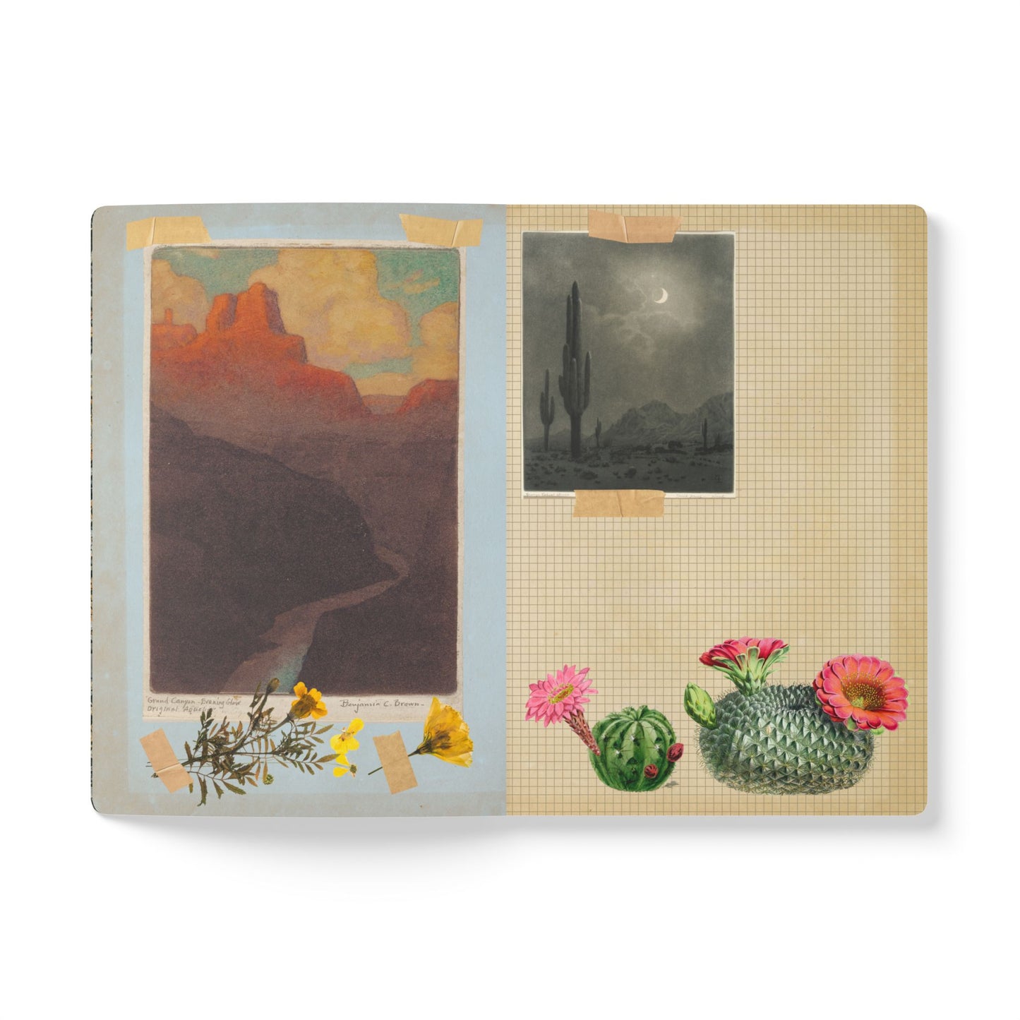 High Desert Vintage Field Notes | Softcover Journal with Inside Illustrations