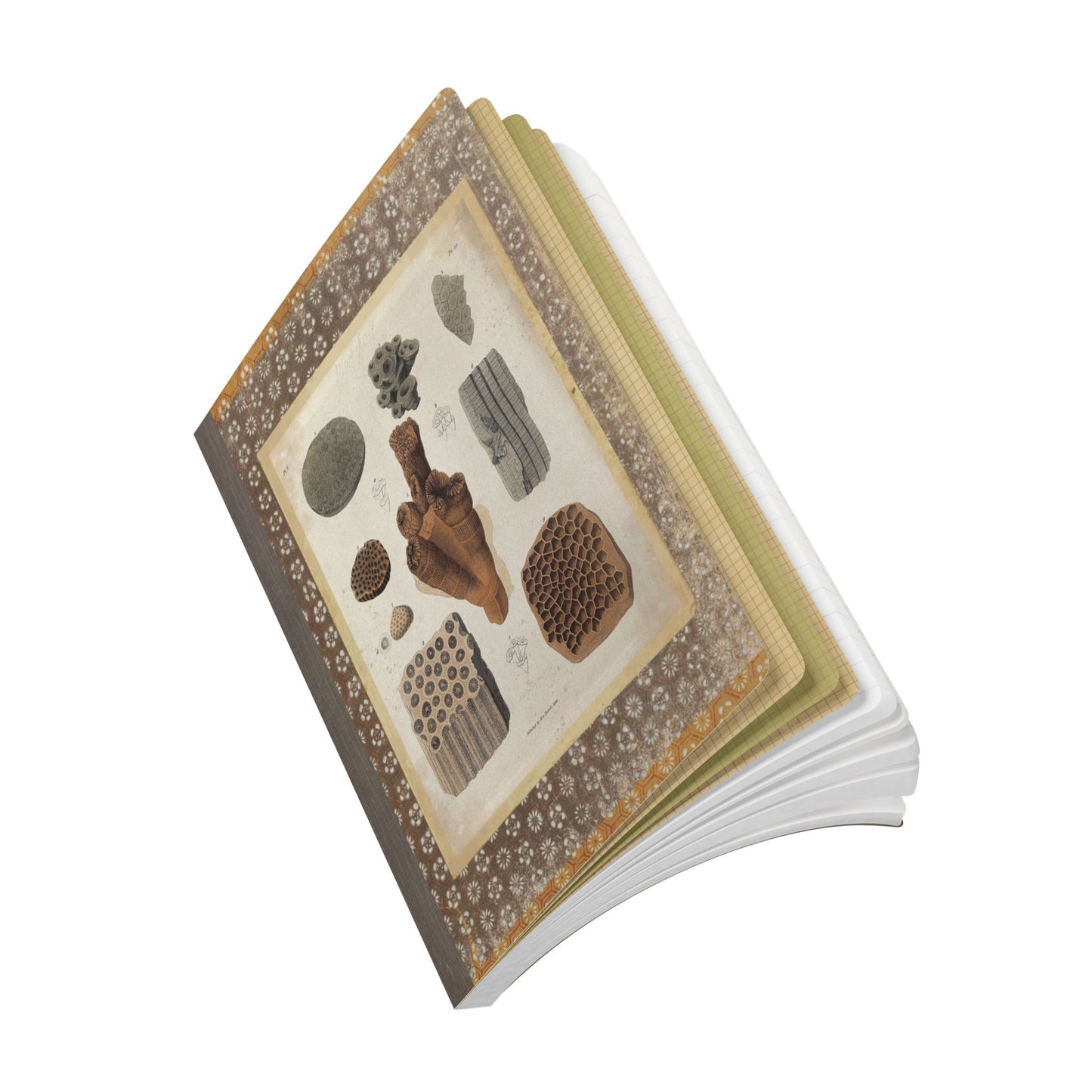 Fossils Vintage Brown Softcover Pocket Notebook