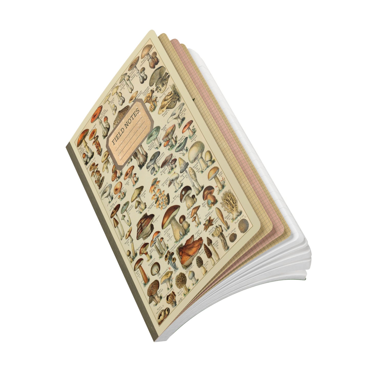 Forager Vintage Field Notes | Softcover Journal with Inside Illustrations