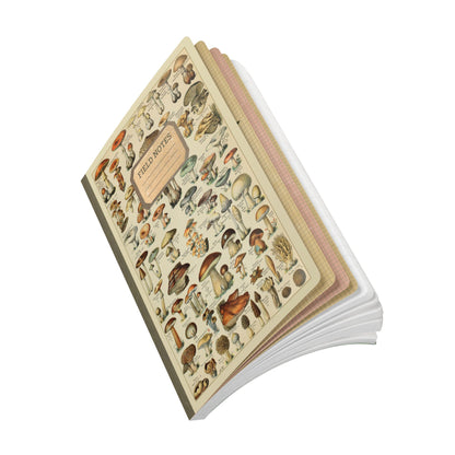 Forager Vintage Field Notes | Softcover Journal with Inside Illustrations