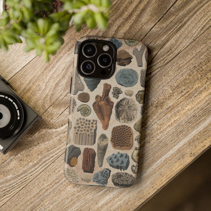 Fossils Antique Illustrations iPhone Case