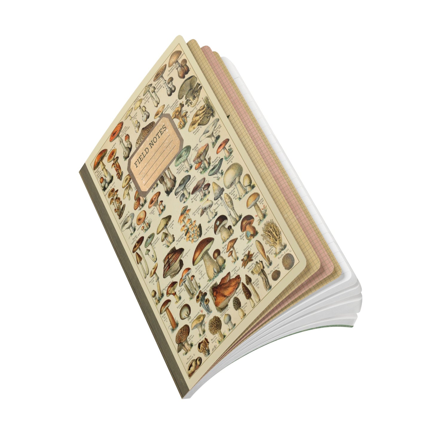 Forager Vintage Field Notes | Softcover Journal with Inside Illustrations